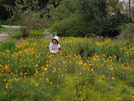 Park «Evergreen Park», reviews and photos, 9300 Moody St, Cypress, CA 90630, USA