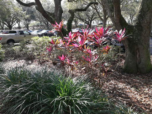 Insurance Agency «AAA Heathrow», reviews and photos