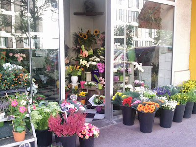 symphonie florale à Versailles