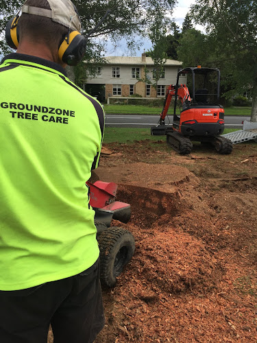 Comments and reviews of Groundzone Tree Care