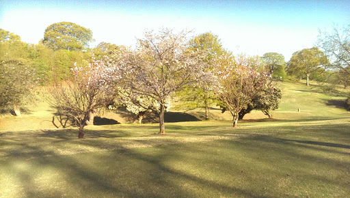 Public Golf Course «Candler Park Golf Course», reviews and photos, 585 Candler Park Dr NE, Atlanta, GA 30307, USA