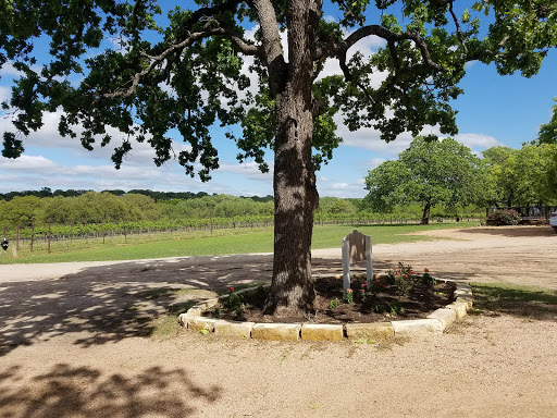 Winery «Westcave Cellars Winery», reviews and photos, 25711 Hamilton Pool Rd, Round Mountain, TX 78663, USA