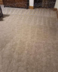 Prime Detail Cleaning - Photo 6 - Car repair in , Milwaukee