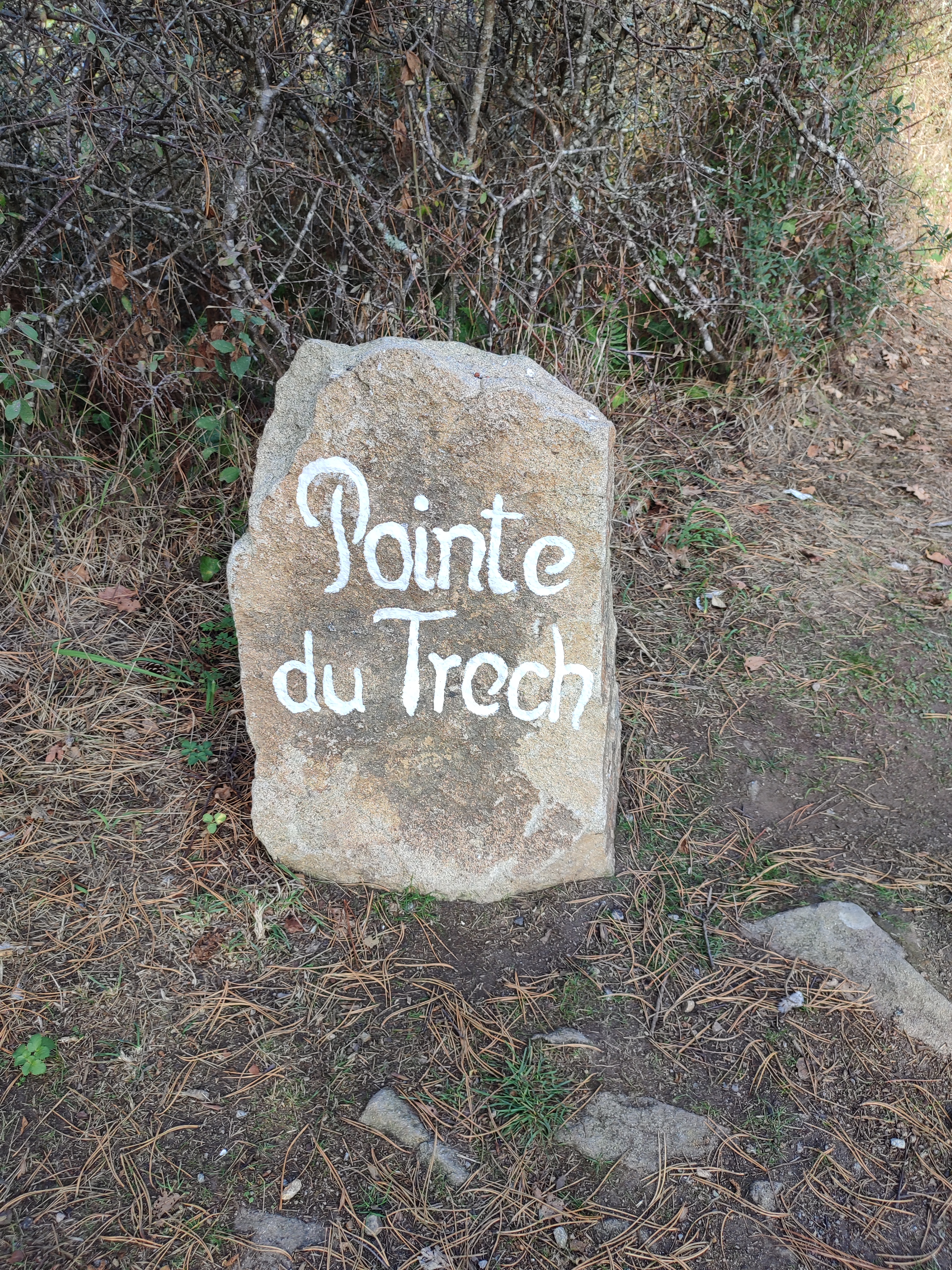 Photo n° 1 de l'avis de corinne. fait le 16/10/2022 à 19:10
