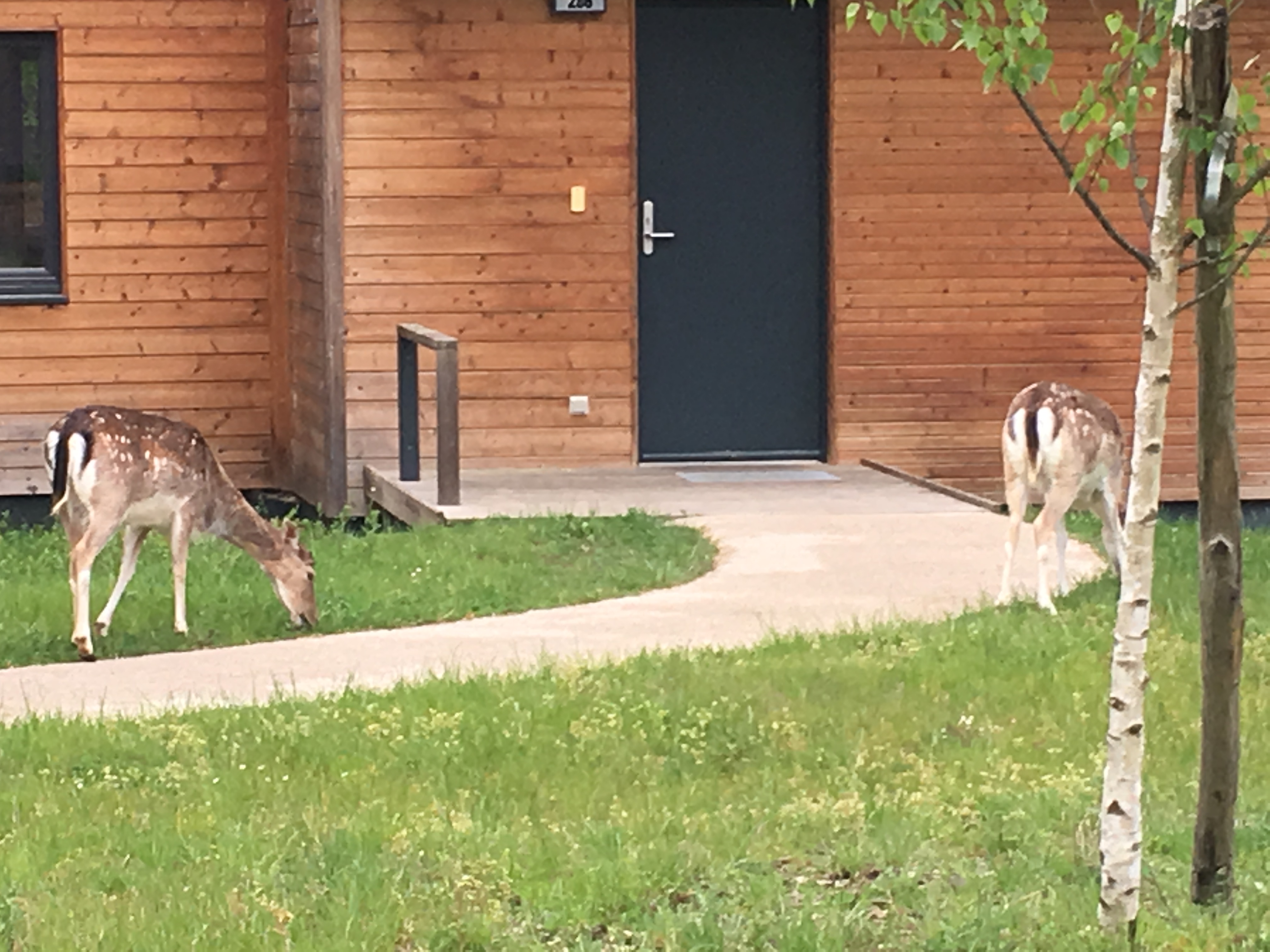 Photo n° 1 de l'avis de Brice.E fait le 17/08/2019 à 15:06
