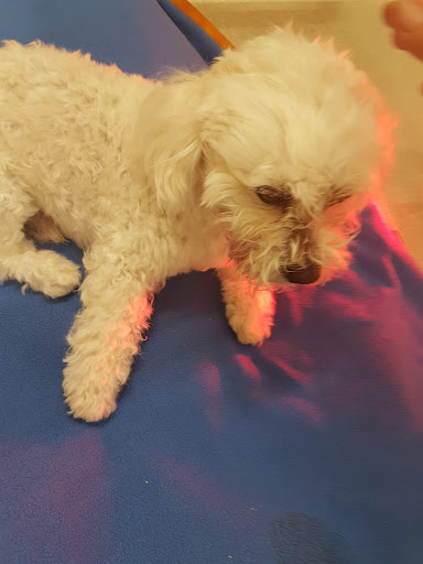 Ute Prußnat vet unter Biedenkopf, Hessen