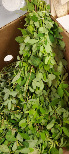 Grocery Store «Infante Grocery», reviews and photos, 198 Broadway St, Lowell, MA 01854, USA