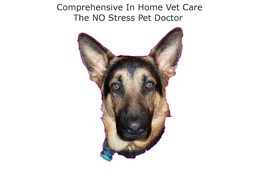 Dr. Bennett's Veterinary House Calls