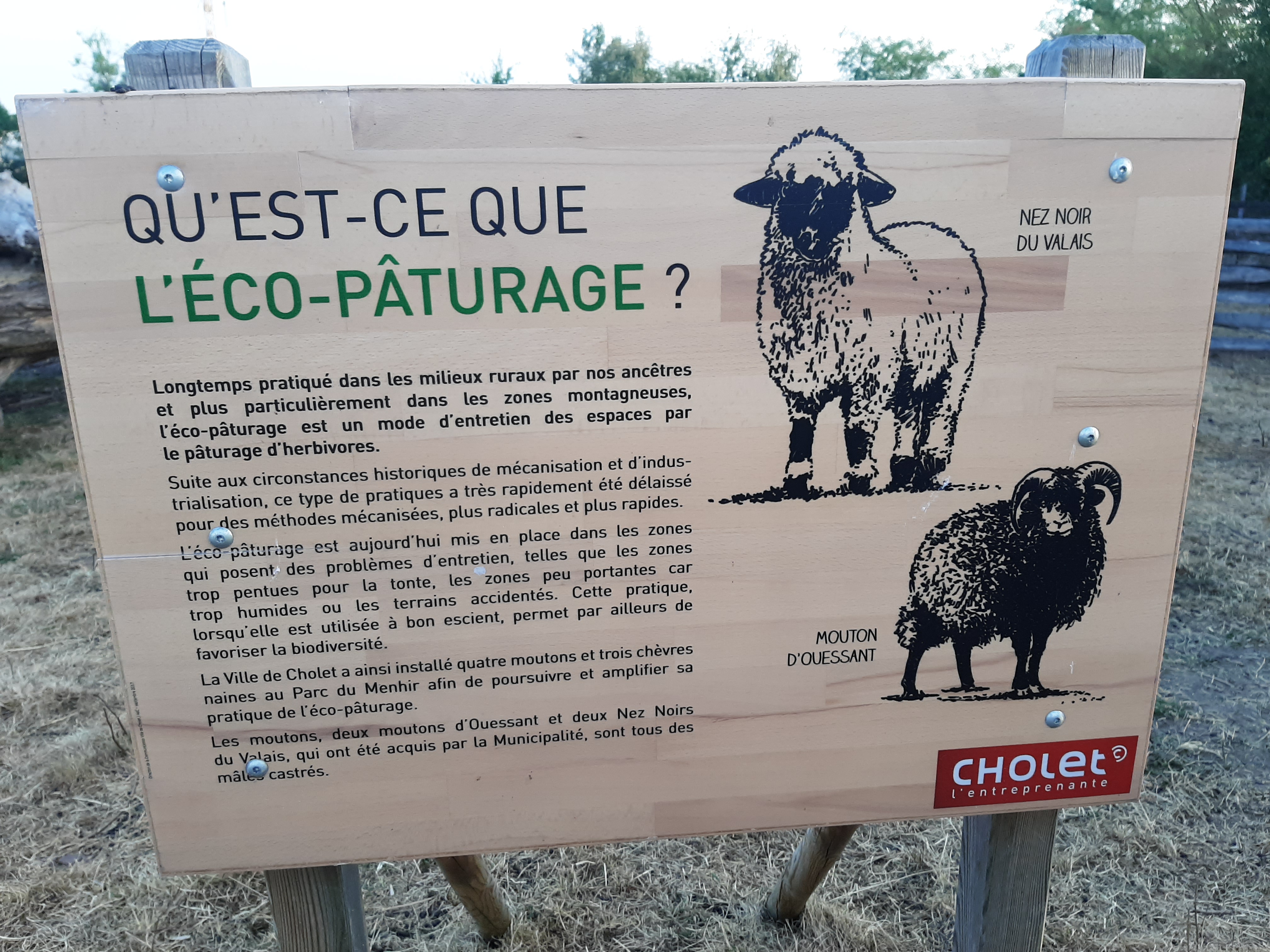 Photo n° 1 de l'avis de cyrille.i fait le 11/08/2020 à 19:07