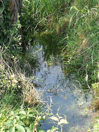 Photos des visiteurs Casa vacanza CaseOspitali - CA' del Frassino 20064 Gorgonzola