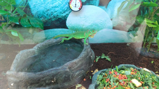 Pet Supply Store «Petco Animal Supplies», reviews and photos, 825 Brevard Rd, Asheville, NC 28806, USA