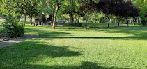 Hybrid Scapes - Photo 5 - Car repair in , Redding