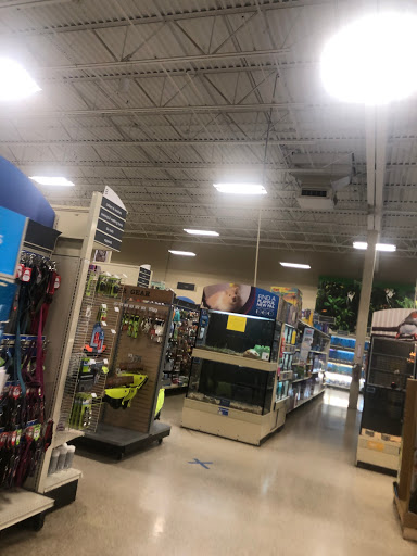 Pet Supply Store «PetSmart», reviews and photos, 3995 Welsh Rd, Willow Grove, PA 19090, USA