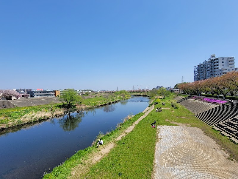 鴨池人道橋下 鶴見川河川敷