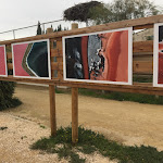 Photo n° 29 de l'avis de Woosuk. fait le 01/11/2019 à 22:03 pour Parc Ornithologique du Pont de Gau à Saintes-Maries-de-la-Mer
