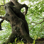 Photo n°2 de l'avis de Osha.i fait le 14/09/2020 à 14:39 sur le  StrandHaus Schwedeneck - Luisa Baumgardt à Schwedeneck