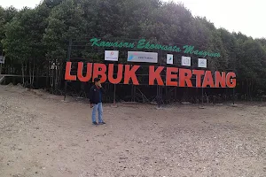 Mangrove tour Lubuk Kertang image