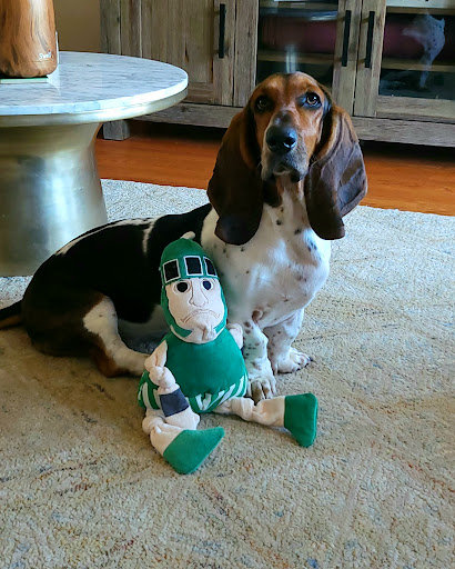 Pet Supply Store «The Dog Park», reviews and photos, 705 King St, Alexandria, VA 22314, USA