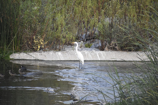 Irvine Ranch Water District