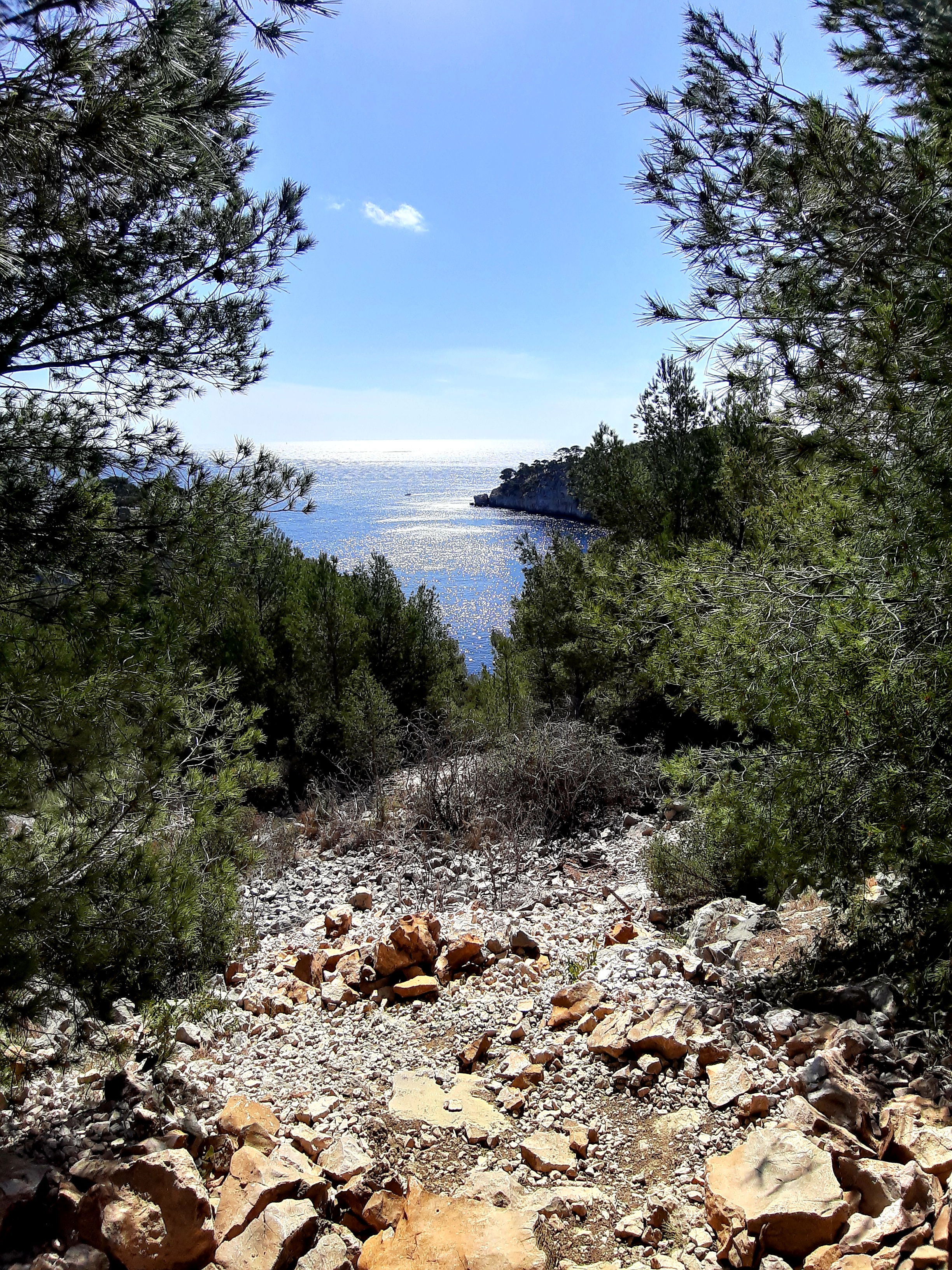 Photo n° 15 de l'avis de Islas.a fait le 27/03/2021 à 17:41