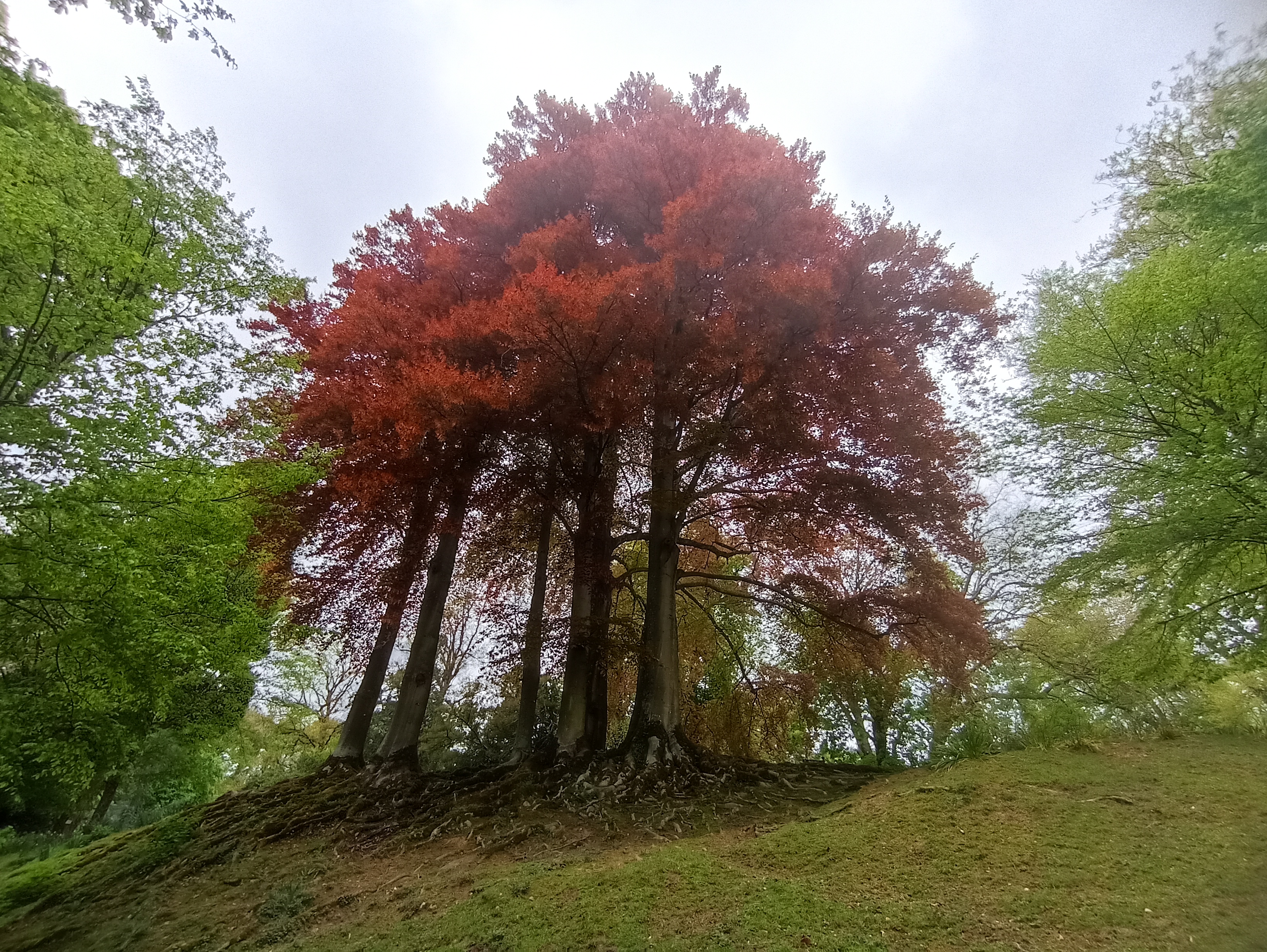 Photo n° 6 de l'avis de INGRID.. fait le 01/05/2023 à 21:03