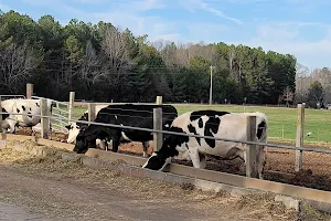 Happy Cow Creamery image