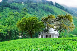 CJ Cottage - Attukal Waterfalls, Athukad Tea Estate (CJ Hotels & Resorts) image