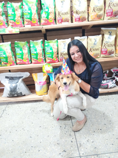 Tiendas para comprar perros en Barquisimeto