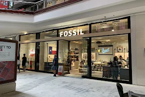 Fossil Store image