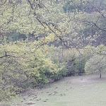 Photo n°1 de l'avis de Walter.o fait le 27/04/2021 à 13:31 sur le  Agrincontri Azienda Agrituristica à Montecastello di Vibio