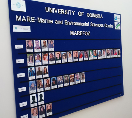 Laboratório MAREFOZ - Centro de Ciências do Mar e do Ambiente - Figueira da Foz