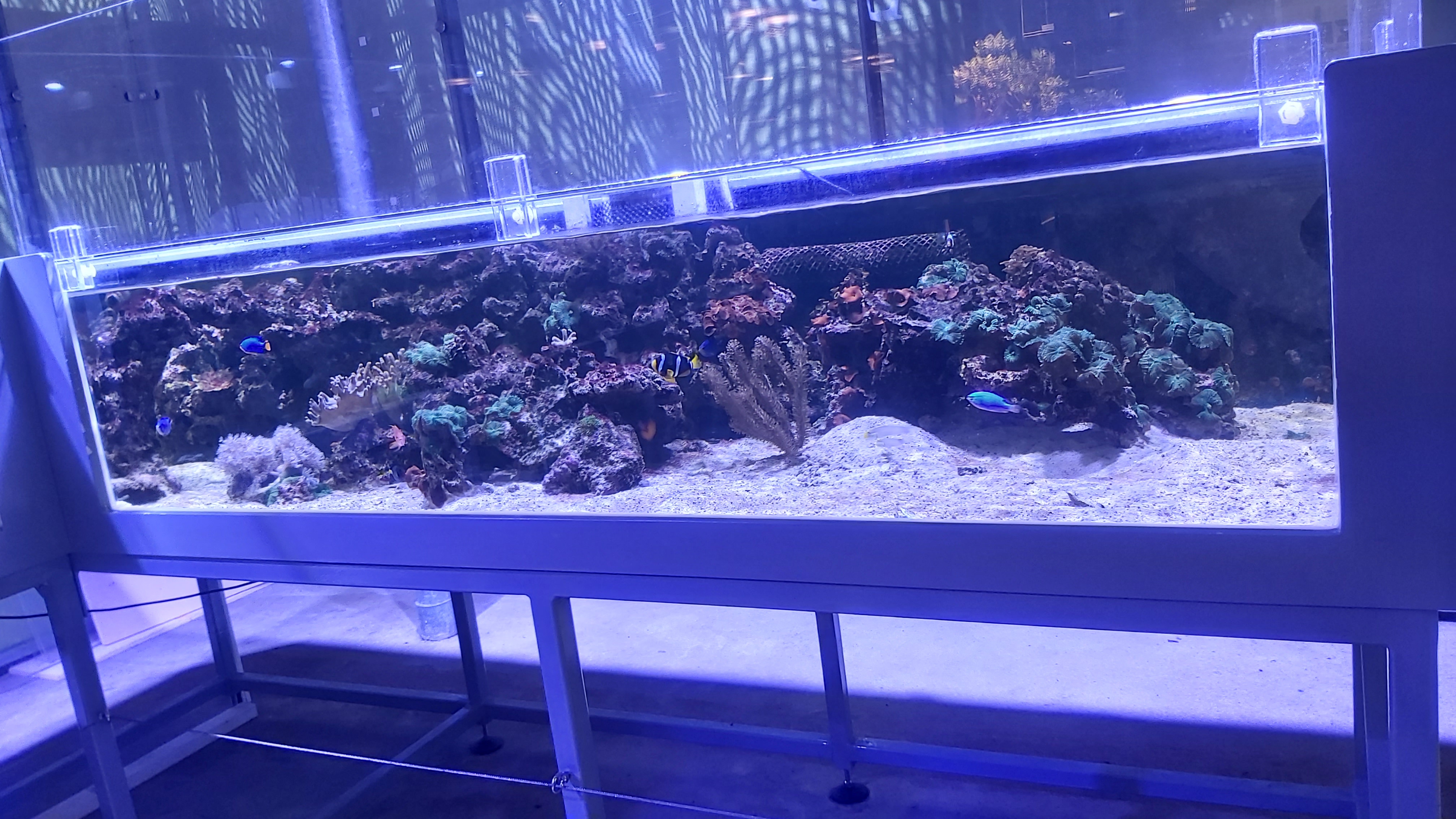 Photo n° 27 de l'avis de Celine.e fait le 27/01/2024 à 14:49