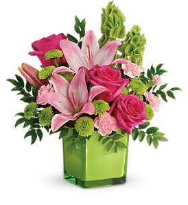 Florist «Ocala Flower Shop», reviews and photos, 1317 S Pine Ave, Ocala, FL 34471, USA