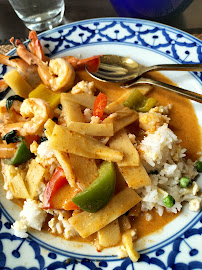 Curry du Restaurant thaï Muang Thai à Colmar - n°3