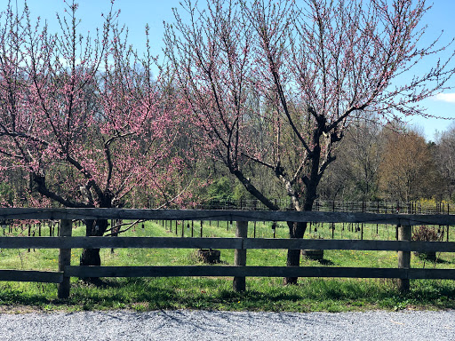 Winery «Rocklands Farm», reviews and photos, 14525 Montevideo Rd, Poolesville, MD 20837, USA