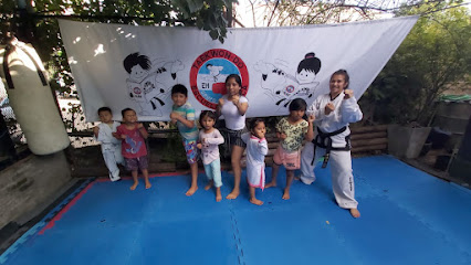 Taekwondo ITF Escuela Técnica