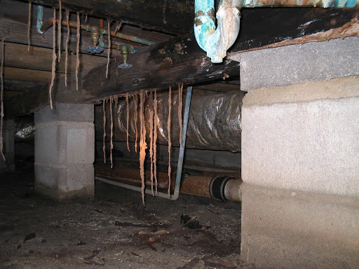 Pest Control Service «Universal Pest & Termite», reviews and photos