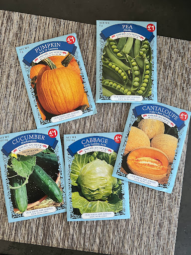 Dollar Store «Dollar Tree», reviews and photos, 9055 Biscayne Blvd, Miami Shores, FL 33138, USA