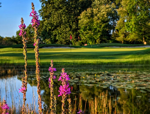 Golf Driving Range «Patriot Golf Course», reviews and photos, 200 Springs Rd, Bedford, MA 01730, USA