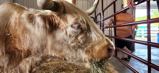 Historical Place Museum «Sanilac County Historic Village & Museum», reviews and photos, 228 South Ridge Street, Port Sanilac, MI 48469, USA