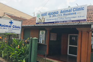 Animal Clinic - Dr. Mrs. Mayadunne image