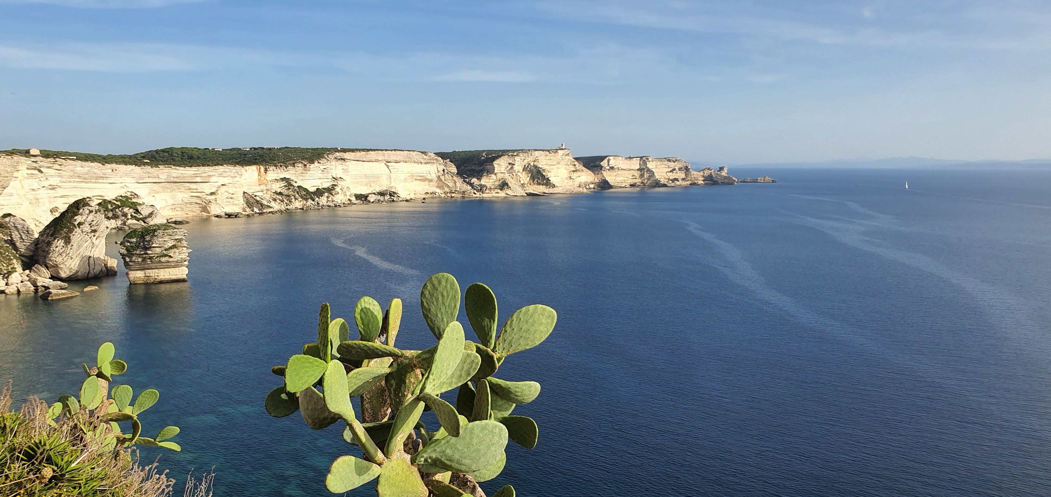 Photo n° 4 de l'avis de Maurice.R fait le 20/10/2022 à 15:21