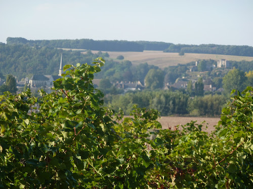 Domaine Martelliere à Montoire-sur-le-Loir