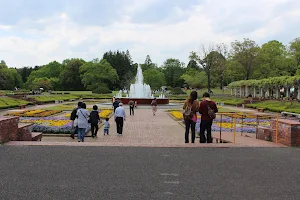 Ibaraki Botanical Garden image