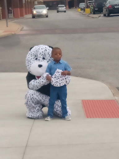 Pet Supply Store «Pet Valu», reviews and photos, 16675 Chagrin Blvd, Shaker Heights, OH 44120, USA