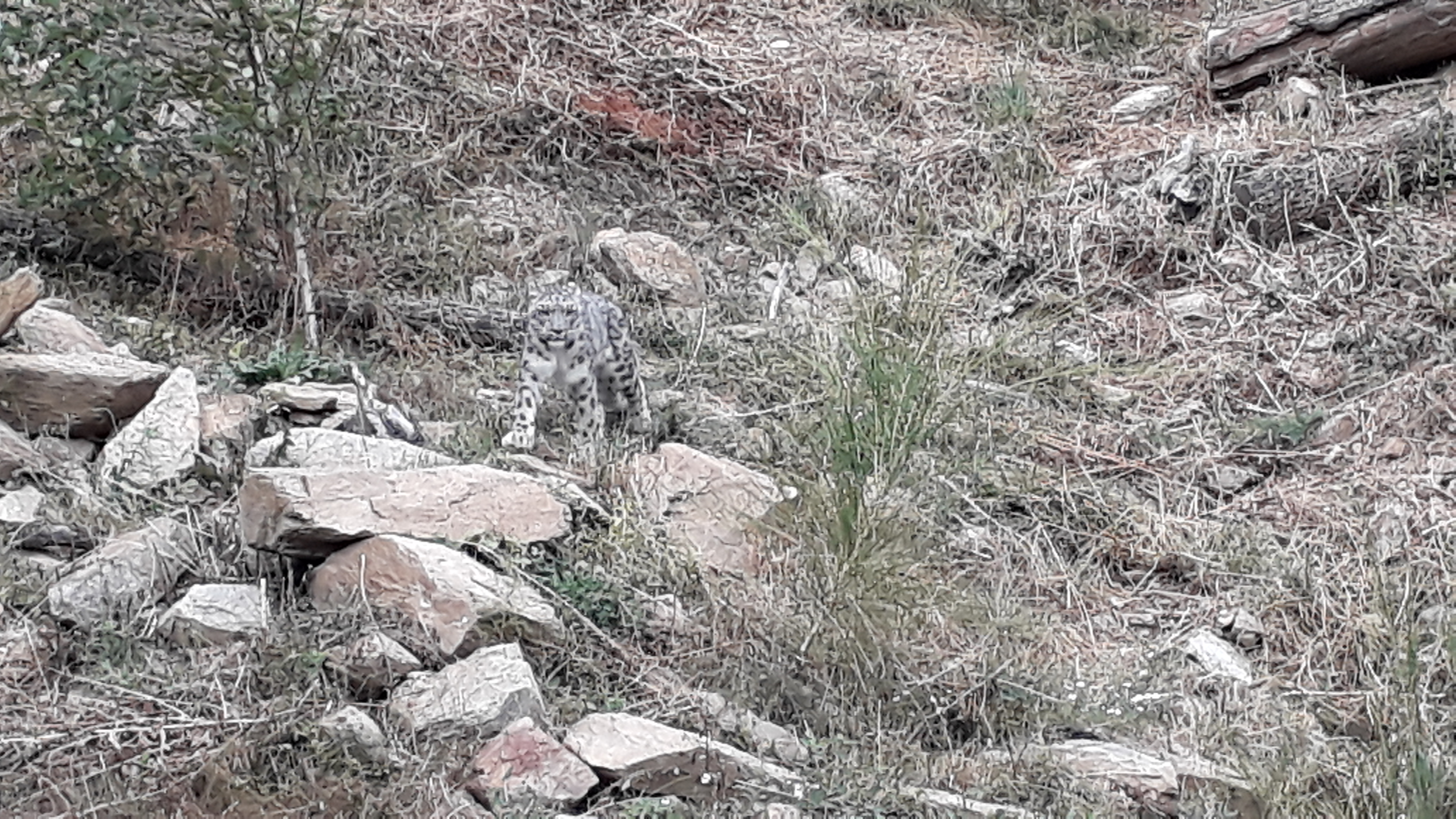 Photo n° 16 de l'avis de Stef.e fait le 15/08/2018 à 14:06
