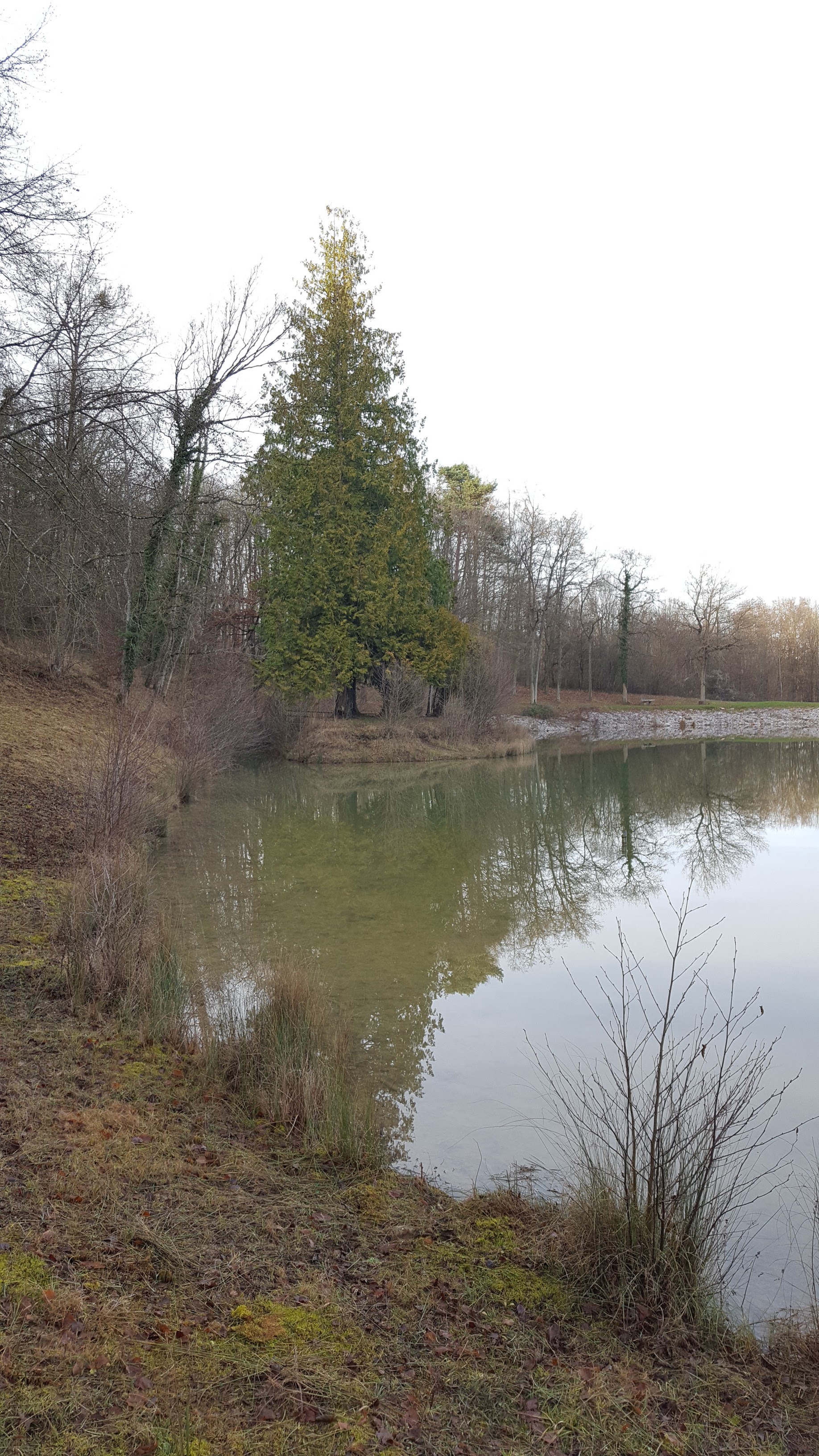 Photo n° 4 de l'avis de Alex.i fait le 03/01/2019 à 06:03