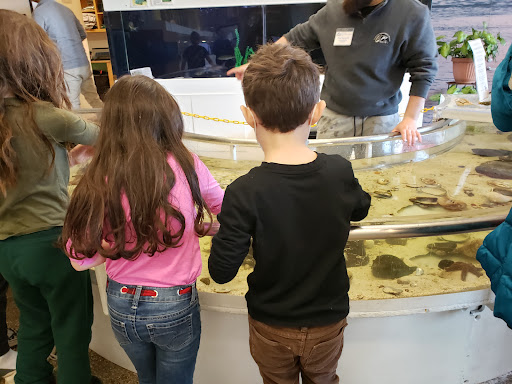 Natural History Museum «South Fork Natural History Museum & Nature Center», reviews and photos, 377 Bridgehampton-Sag Harbor Turnpike, Bridgehampton, NY 11932, USA