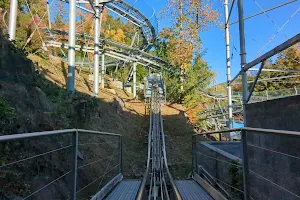 Ripley's Mountain Coaster image