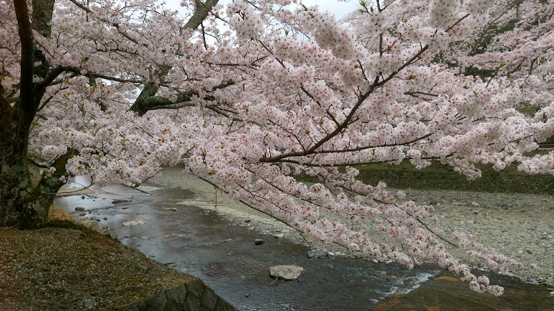 七谷川野外活動センター 京都府亀岡市千歳町千歳 キャンプ場 グルコミ